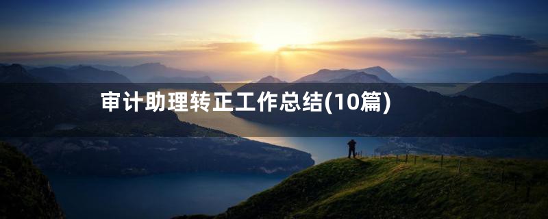 审计助理转正工作总结(10篇)