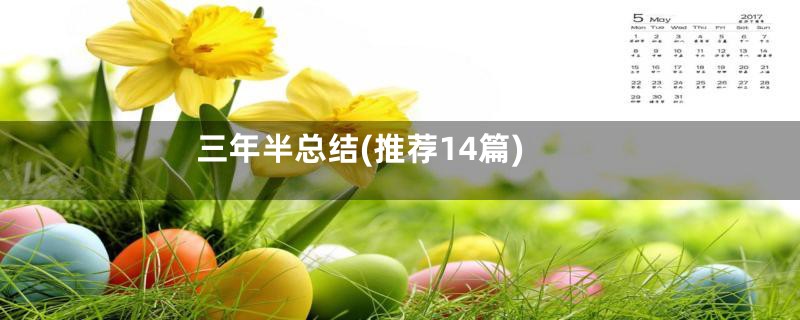 三年半总结(推荐14篇)