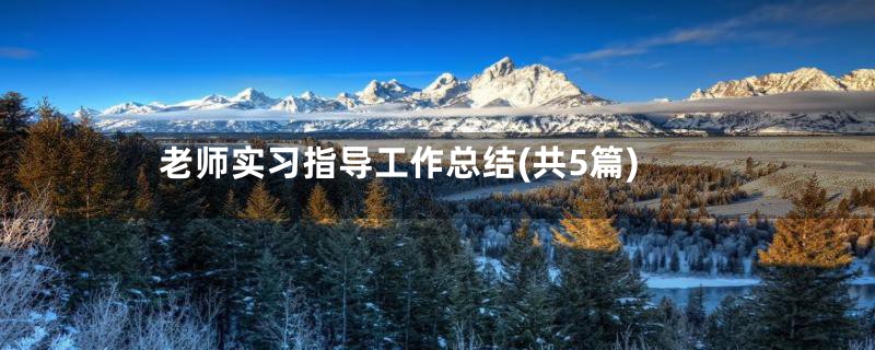 老师实习指导工作总结(共5篇)