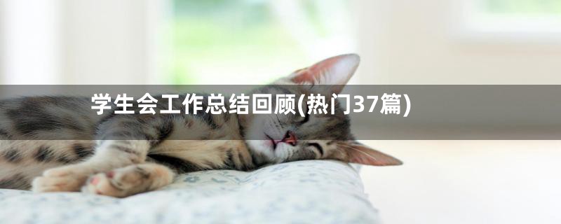 学生会工作总结回顾(热门37篇)
