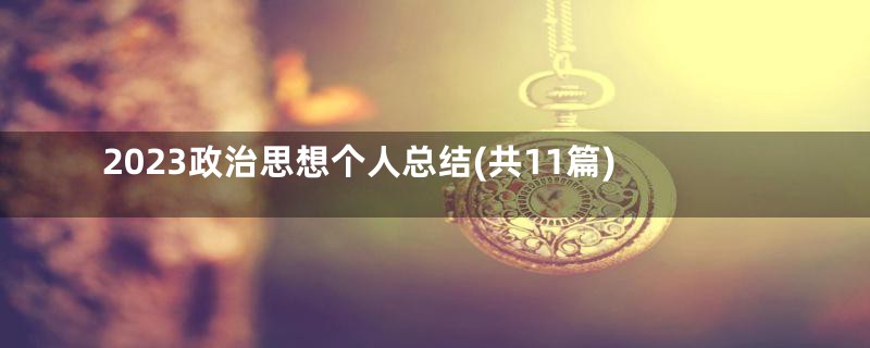 2023政治思想个人总结(共11篇)