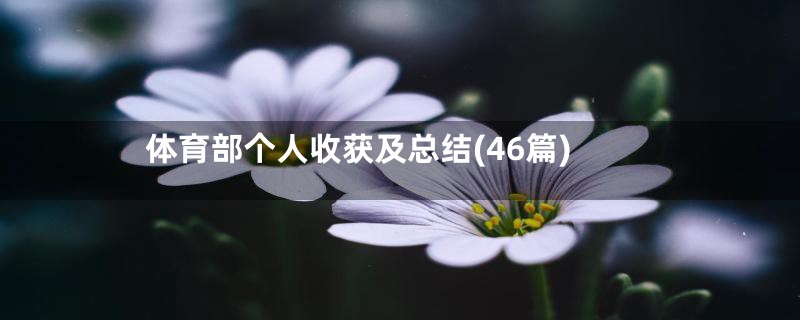 体育部个人收获及总结(46篇)