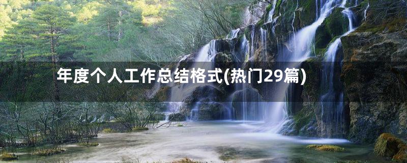 年度个人工作总结格式(热门29篇)