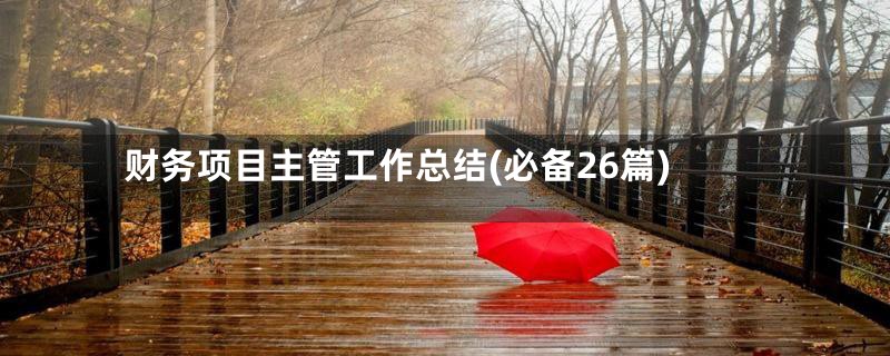 财务项目主管工作总结(必备26篇)