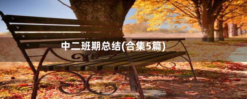 中二班期总结(合集5篇)