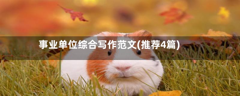 事业单位综合写作范文(推荐4篇)