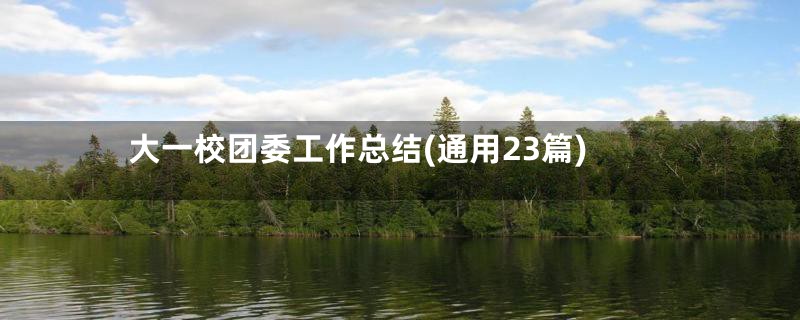 大一校团委工作总结(通用23篇)