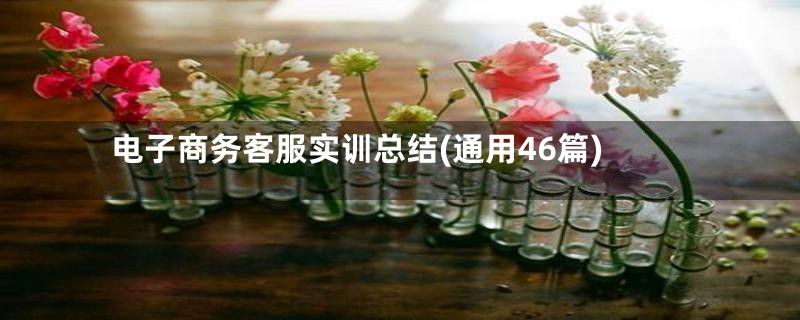 电子商务客服实训总结(通用46篇)