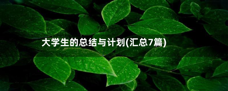大学生的总结与计划(汇总7篇)