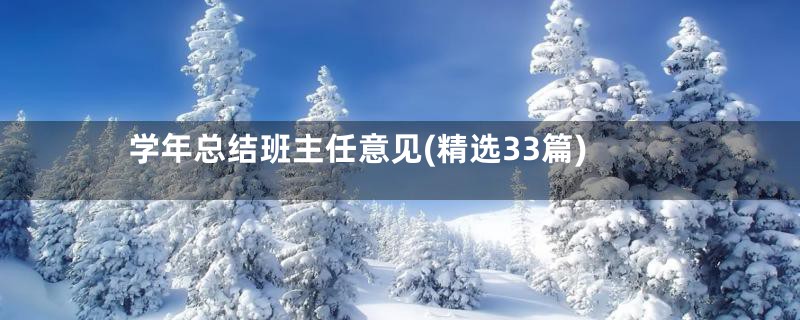 学年总结班主任意见(精选33篇)