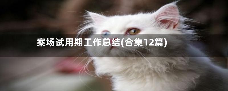 案场试用期工作总结(合集12篇)