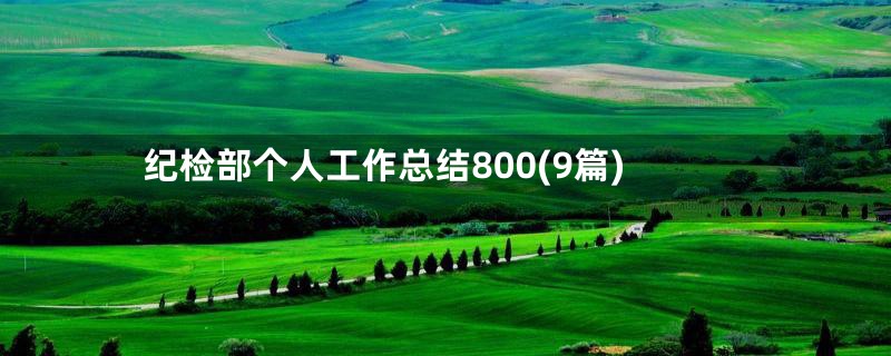 纪检部个人工作总结800(9篇)