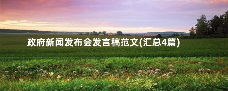 政府新闻发布会发言稿范文(汇总4篇)