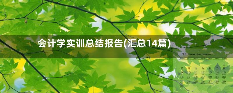 会计学实训总结报告(汇总14篇)