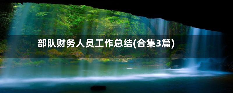 部队财务人员工作总结(合集3篇)