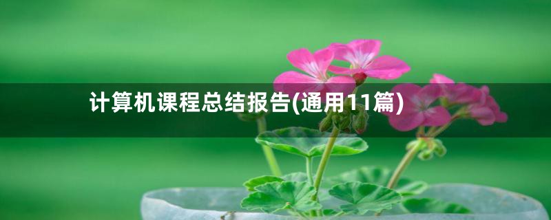 计算机课程总结报告(通用11篇)