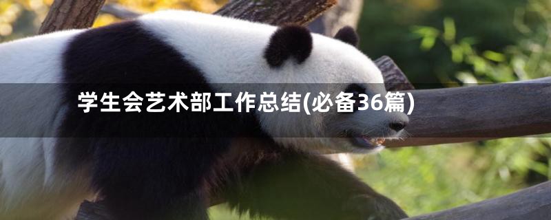 学生会艺术部工作总结(必备36篇)