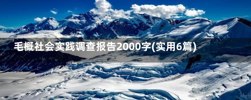 毛概社会实践调查报告2000字(实用6篇)