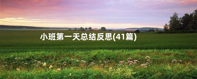 小班第一天总结反思(41篇)