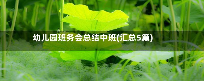 幼儿园班务会总结中班(汇总5篇)
