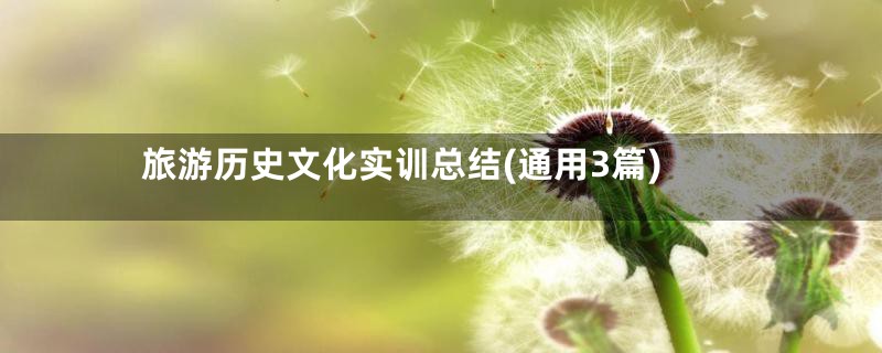 旅游历史文化实训总结(通用3篇)