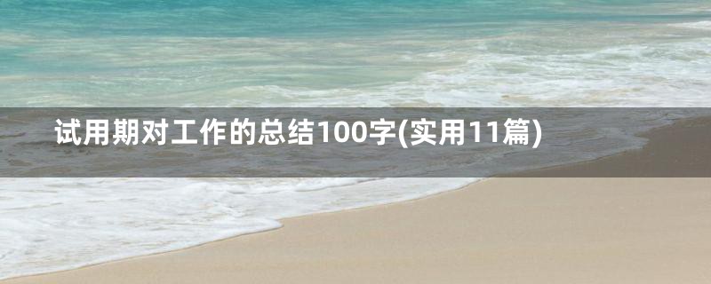 试用期对工作的总结100字(实用11篇)