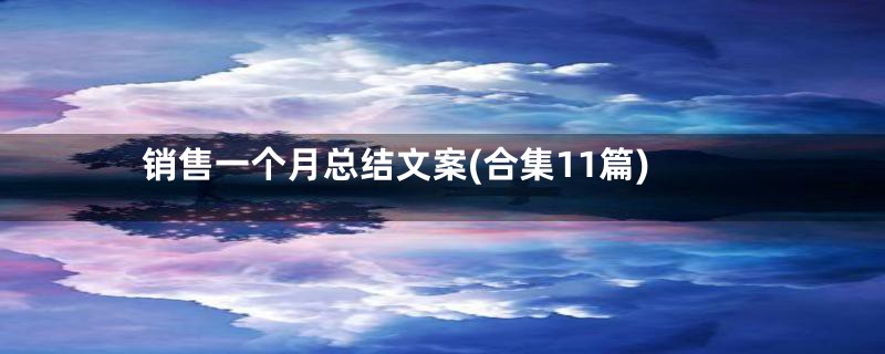销售一个月总结文案(合集11篇)