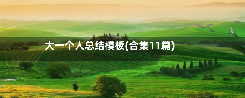 大一个人总结模板(合集11篇)