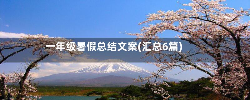 一年级暑假总结文案(汇总6篇)