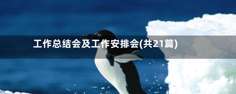 工作总结会及工作安排会(共21篇)