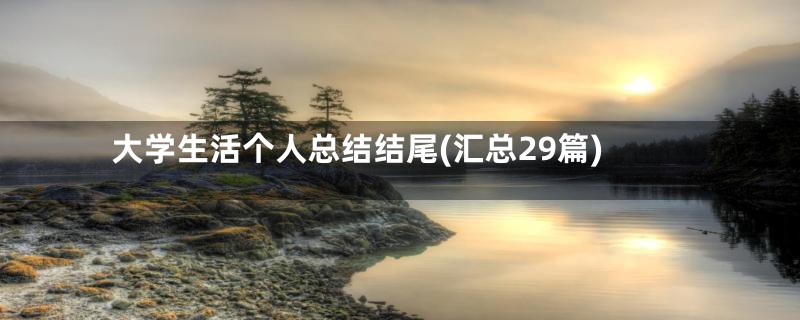 大学生活个人总结结尾(汇总29篇)