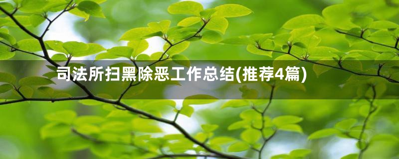 司法所扫黑除恶工作总结(推荐4篇)
