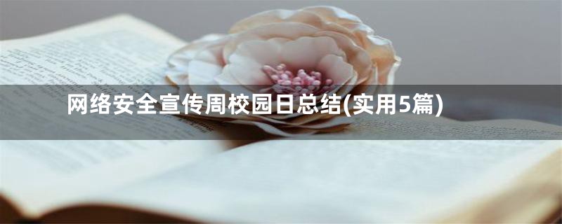 网络安全宣传周校园日总结(实用5篇)