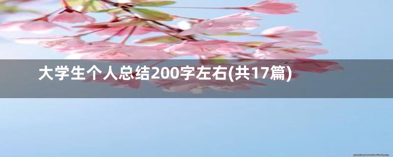 大学生个人总结200字左右(共17篇)