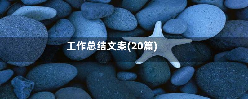工作总结文案(20篇)