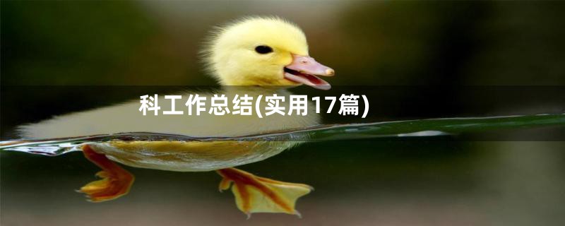 科工作总结(实用17篇)