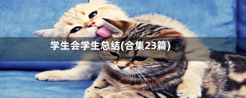 学生会学生总结(合集23篇)