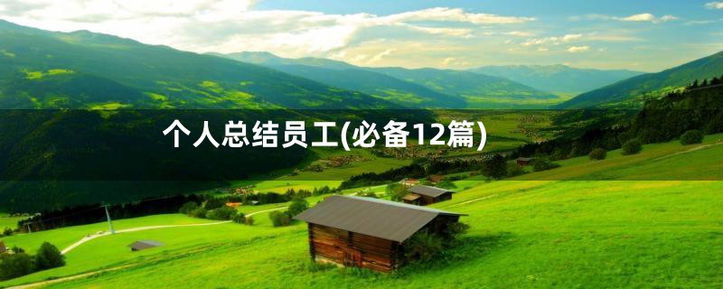 个人总结员工(必备12篇)