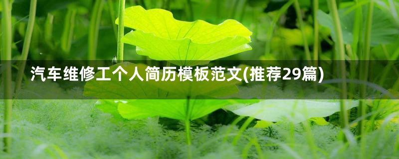 汽车维修工个人简历模板范文(推荐29篇)