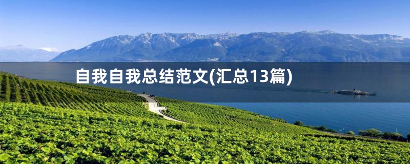 自我自我总结范文(汇总13篇)