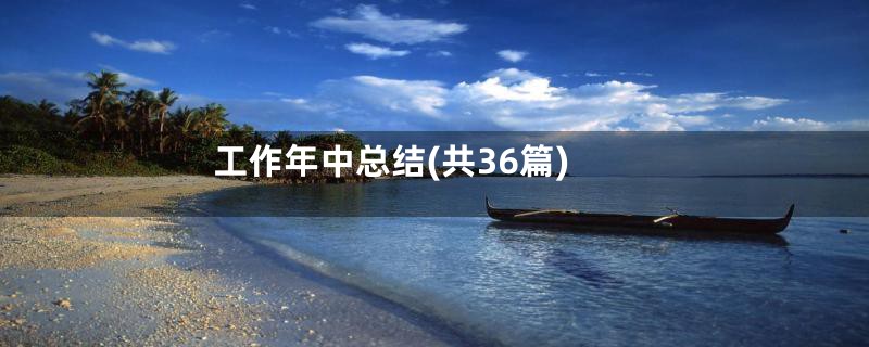 工作年中总结(共36篇)