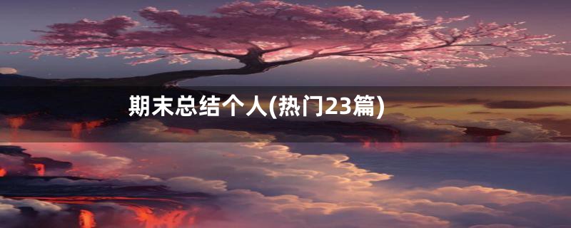 期末总结个人(热门23篇)