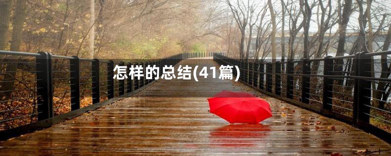 怎样的总结(41篇)