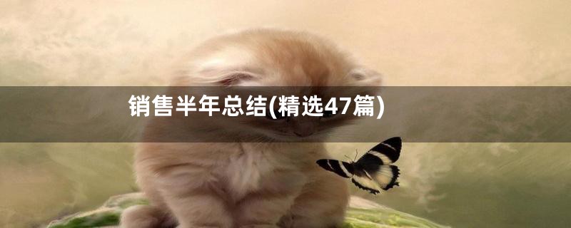 销售半年总结(精选47篇)