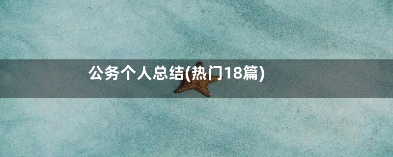 公务个人总结(热门18篇)
