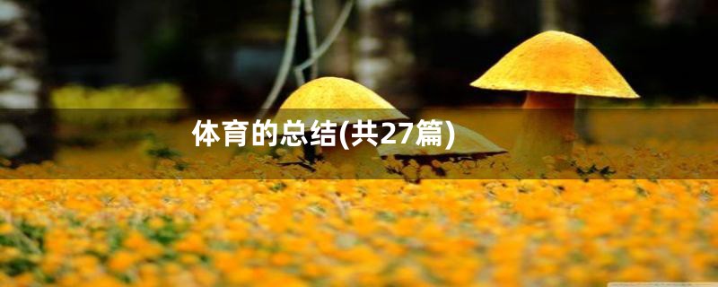 体育的总结(共27篇)