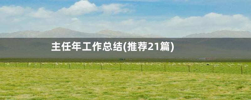 主任年工作总结(推荐21篇)