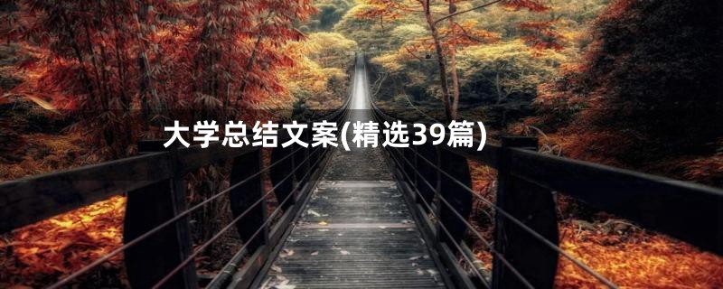 大学总结文案(精选39篇)