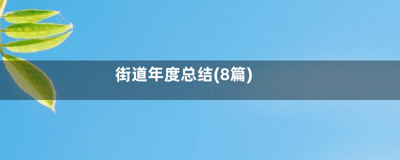 街道年度总结(8篇)