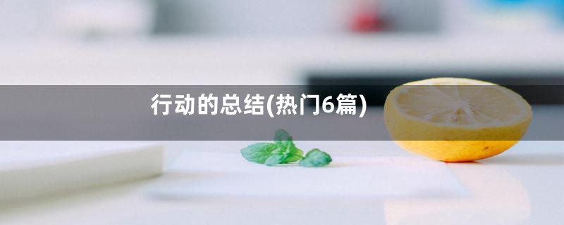 行动的总结(热门6篇)